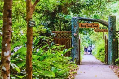 Lan Ha bay - Cat Ba Island - Trung Trang cave (B, L, D)